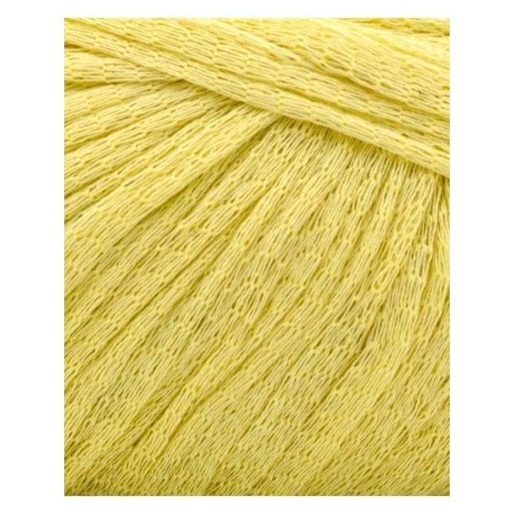 Phildar Phil Eucalyptus Zeste