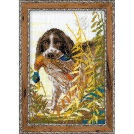 Riolis Borduurpakket Jacht Spaniel