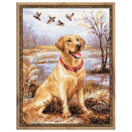 Riolis Embroidery kit Labrador