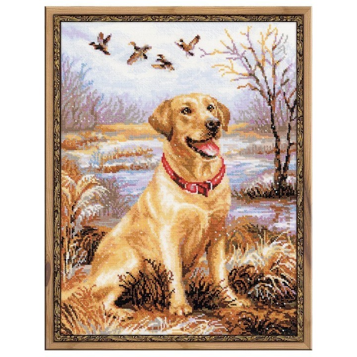 Riolis Borduurpakket Labrador