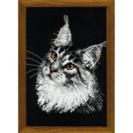 Riolis Borduurpakket Maine Coon
