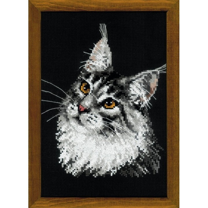Riolis Kit de broderie Coon Maine