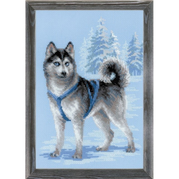 Riolis Stickset Husky