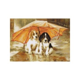 Luca-S Stickset Paar unter einem Regenschirm