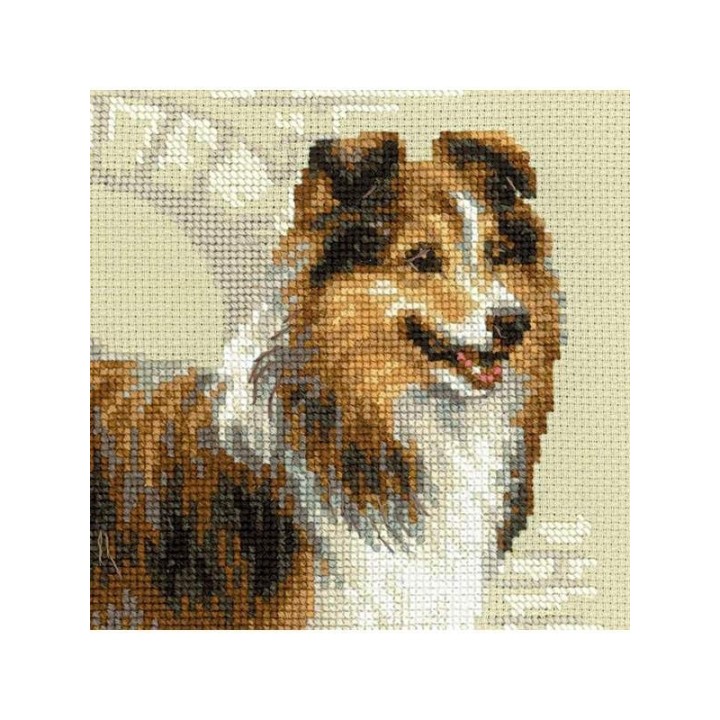 Riolis Borduurpakket Sheltie