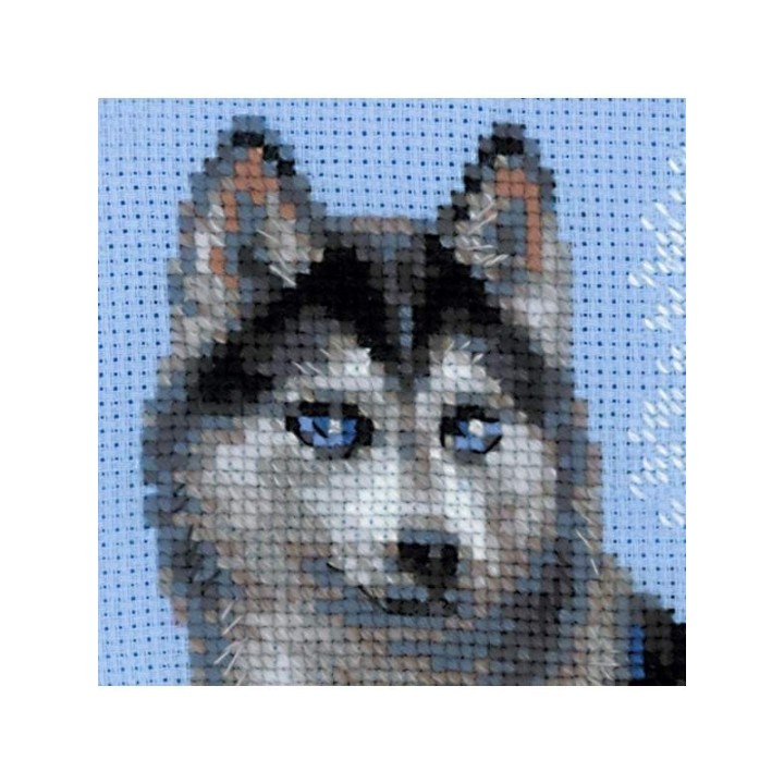 Riolis Embroidery kit Husky