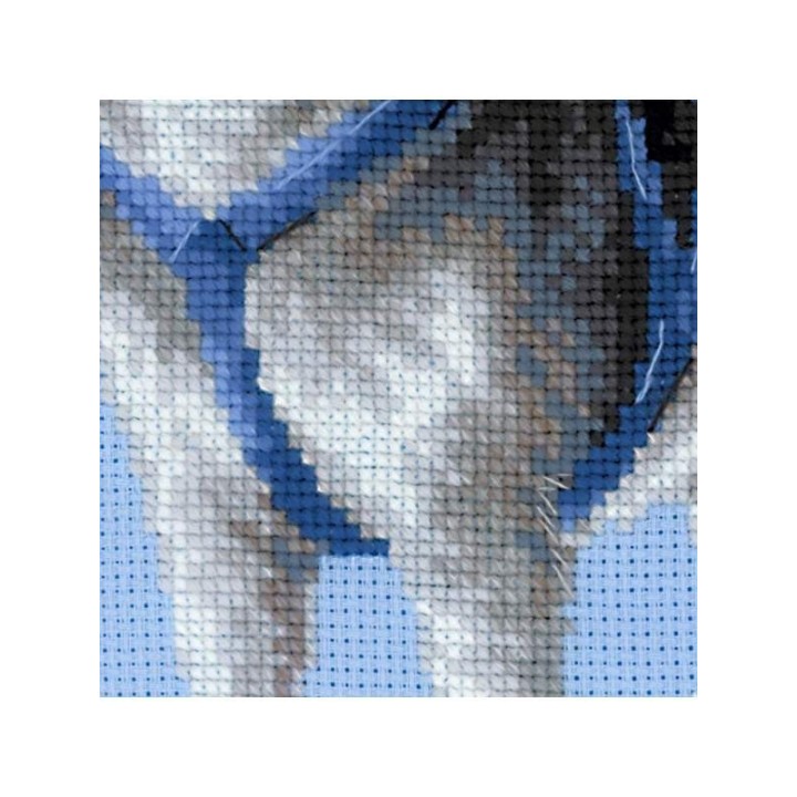 Riolis Embroidery kit Husky