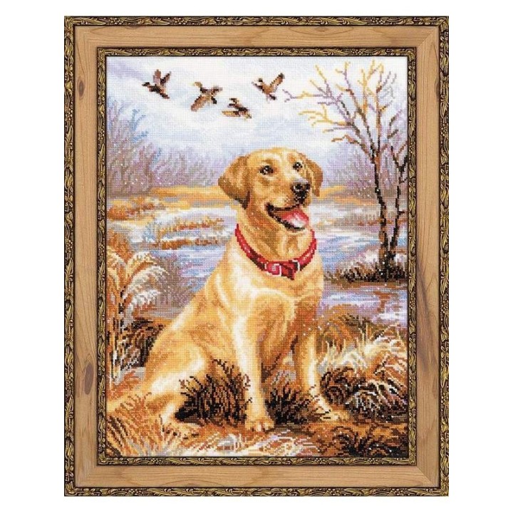 Riolis Kit de broderie Labrador