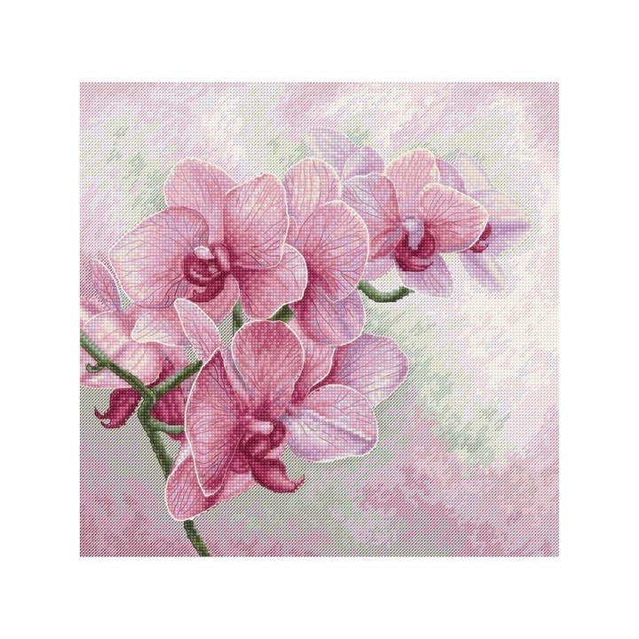 Luca-S Borduurpakket Sierlijke Orchideeën