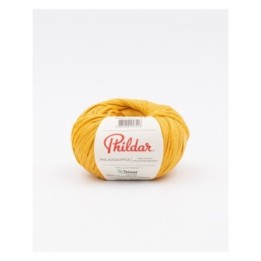 Phildar Phil Eucalyptus Safran