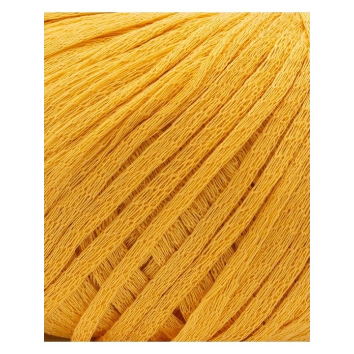 Phildar Phil Eucalyptus Safran