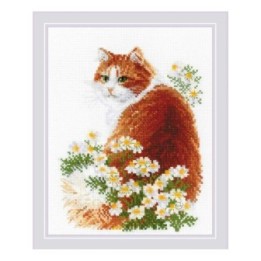 Riolis Stickset Ingwer-Miau