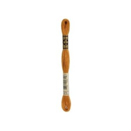 borduurgaren DMC Mouliné 976