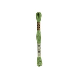 borduurgaren DMC Mouliné 989