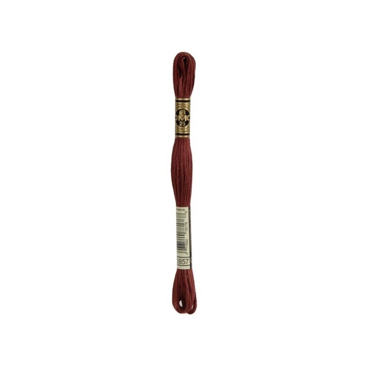 borduurgaren DMC Mouliné 3857