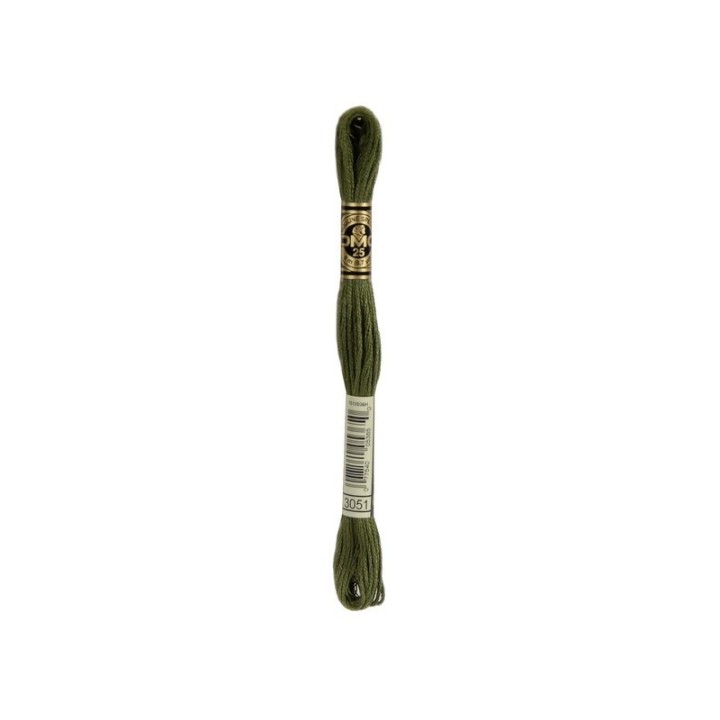 borduurgaren DMC Mouliné 3051