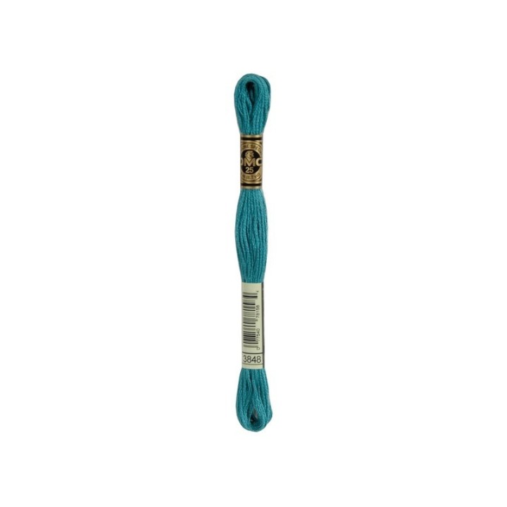 DMC Mouliné 3848