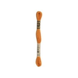 borduurgaren DMC Mouliné 3853