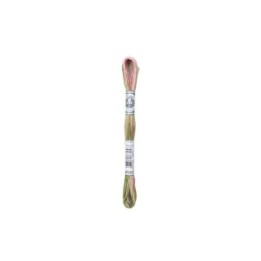 DMC Mouliné Coloris 4500
