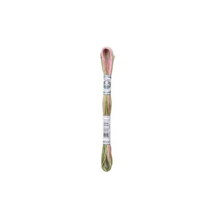 DMC Mouliné Coloris 4500