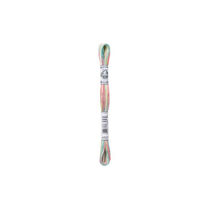 DMC Mouliné Coloris 4501