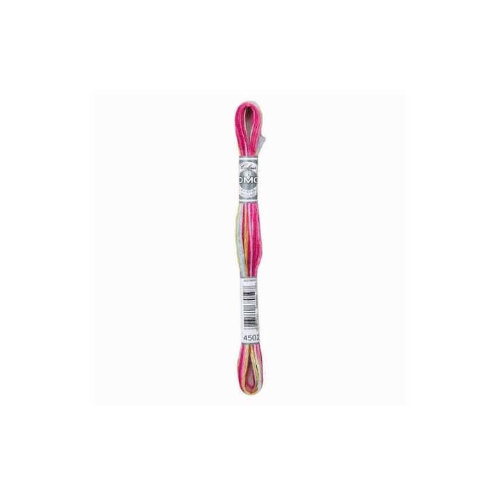 DMC Mouliné Coloris 4502