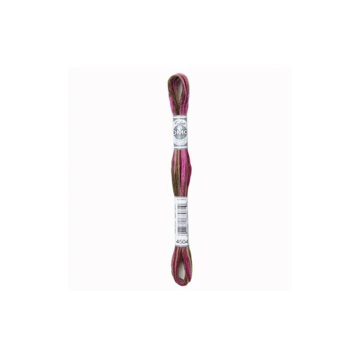 DMC Mouliné Coloris 4504
