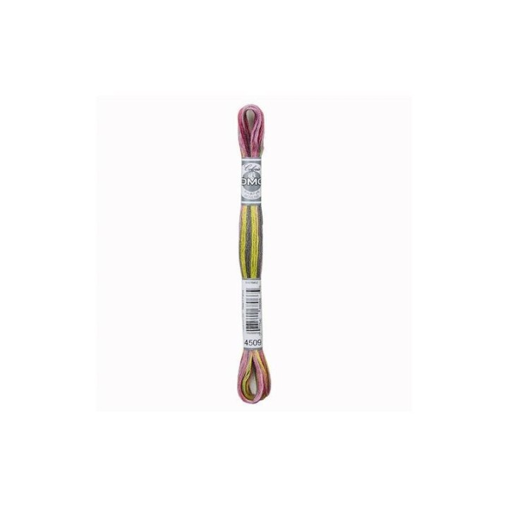 DMC Mouliné Coloris 4509