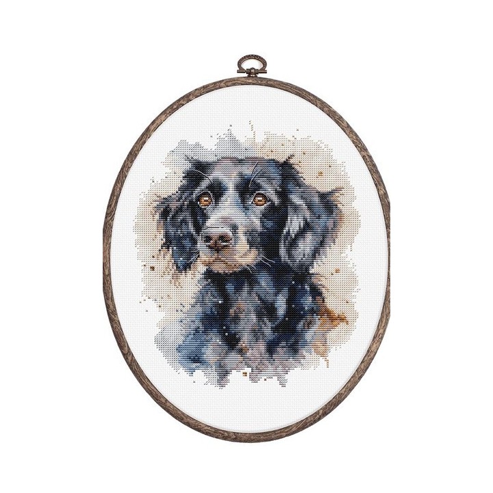 Luca-S Borduurpakket Border Collie