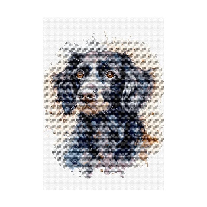 Luca-S Stickset Border Collie