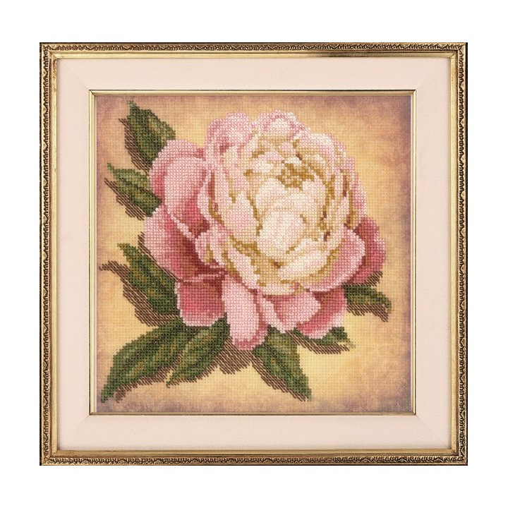 Riolis Kit de broderie Pivoine