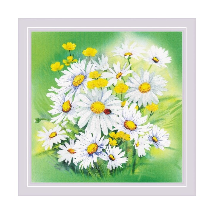 Riolis Borduurpakket Kamillebloemen