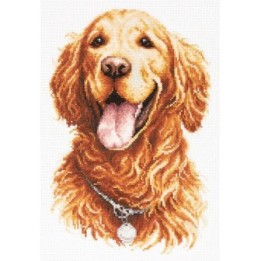 Kit de broderie Golden retriever