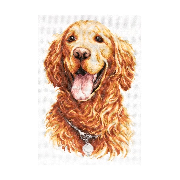 Kit de broderie Golden retriever