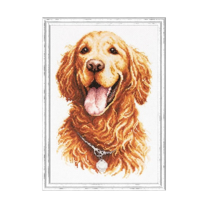 Stickset Golden Retriever