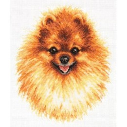 Embroidery kit Pomeranian