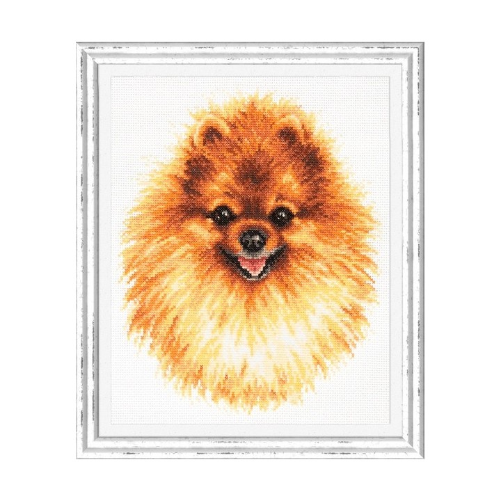 Embroidery kit Pomeranian