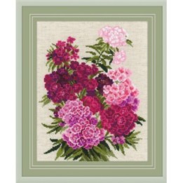 Riolis Embroidery kit Sweet William