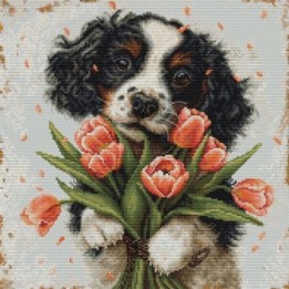 Luca-S Kit de broderie Le chiot cocker spaniel