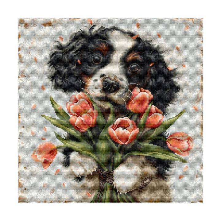 Luca-S Stickset Der Cocker Spaniel-Welpe