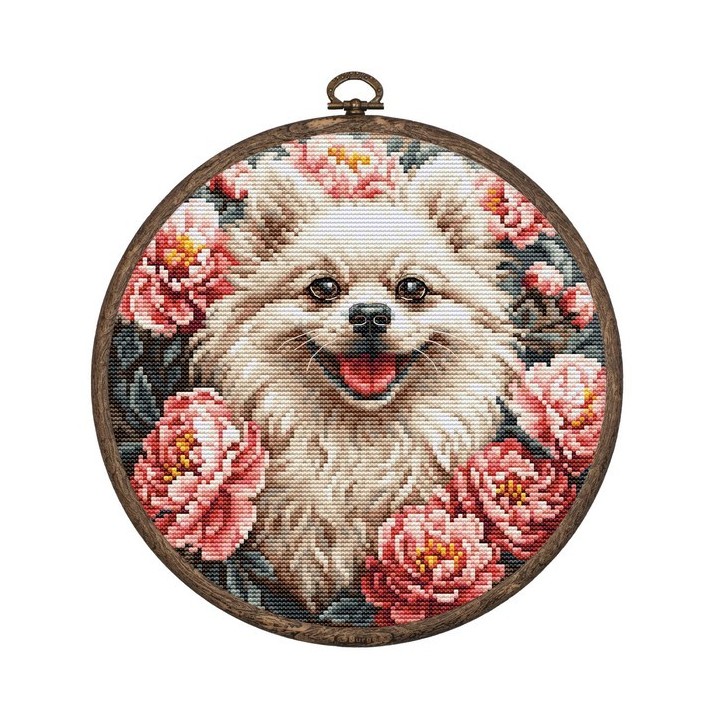 Luca-S Kit de broderie Spitz