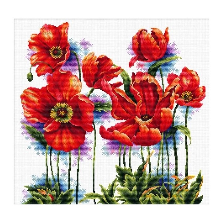 Kit de broderie De jolis coquelicots