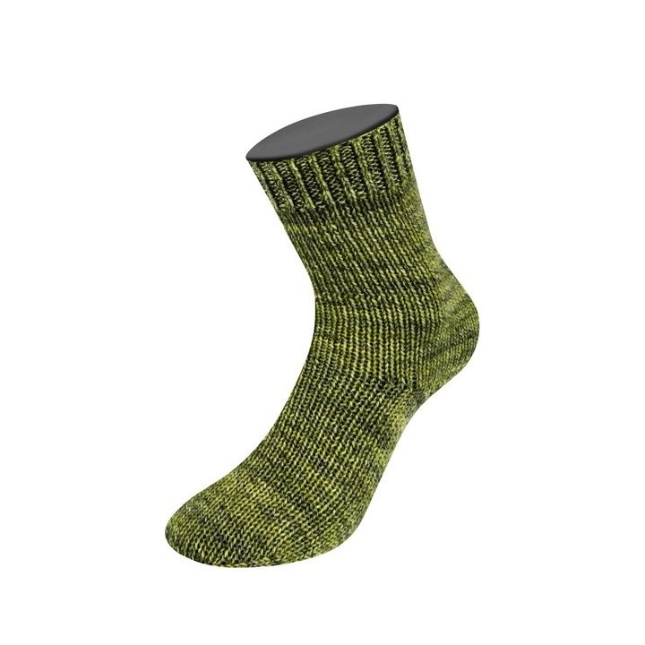 Lana Grossa Vintage Socks 1002