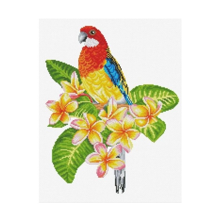 Kit de broderie Frangipanni Rosella