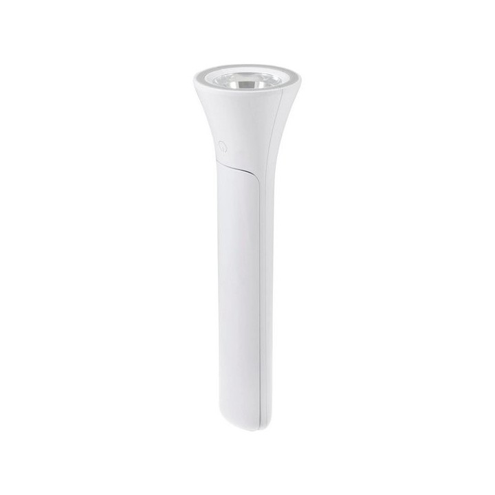 2-in-1 Flip Lamp & Torch