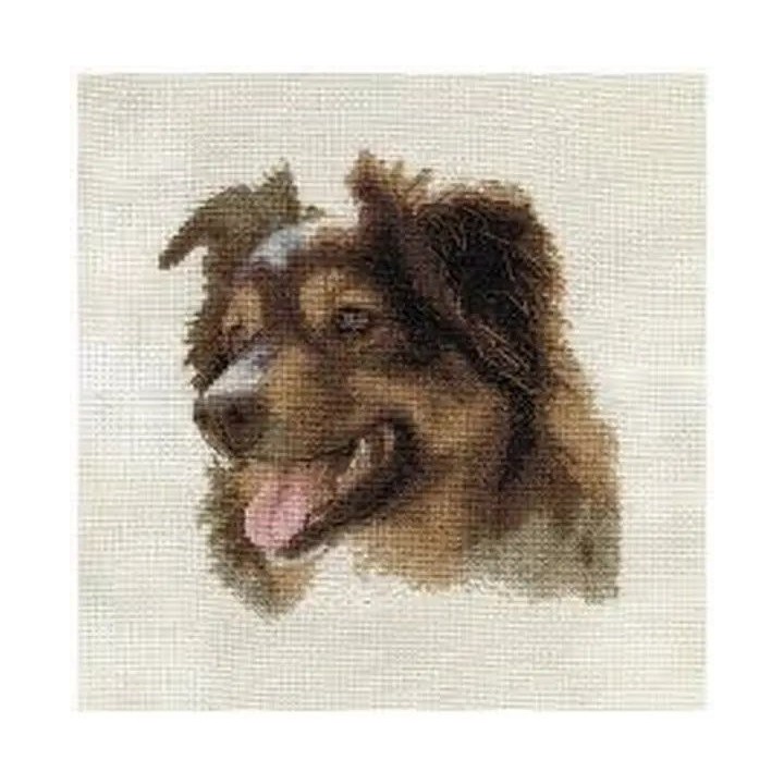 Kit e broderie Berger anglais