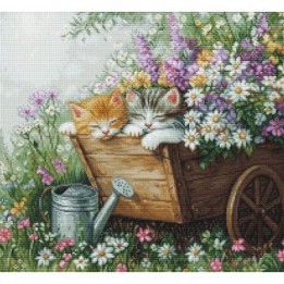 Luca-S Kit de broderie Le sommeil des chatons