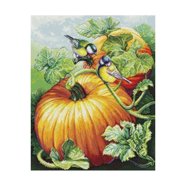 Luca-S Embroidery kit Birdies On Pumpkin