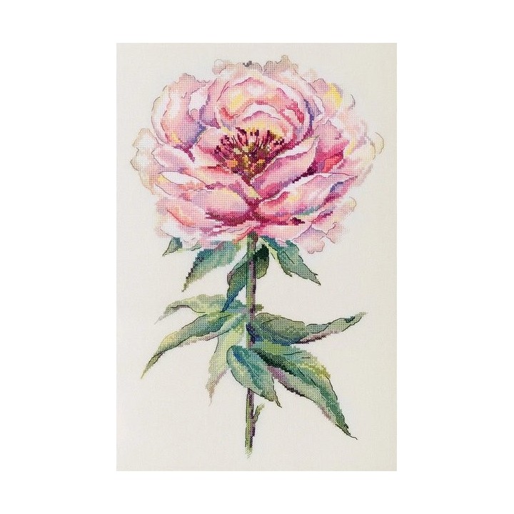 Embroidery kit Peony