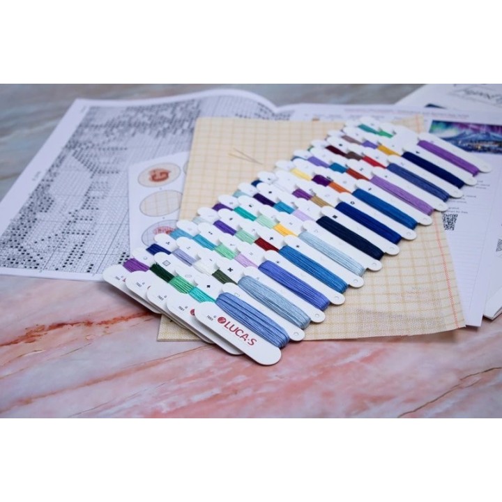 Embroidery kit Northern Lights (petit point)
